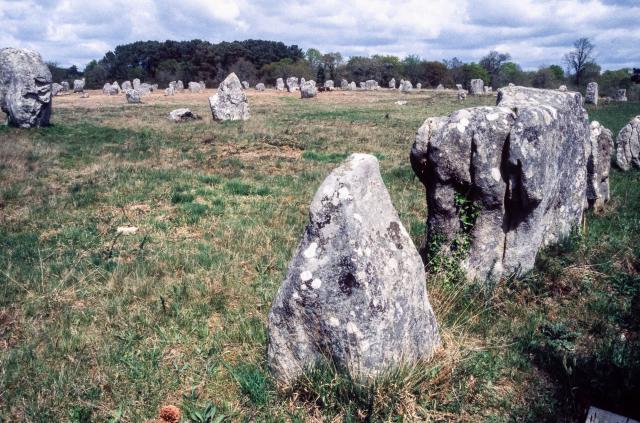 Stone rows of Carnac