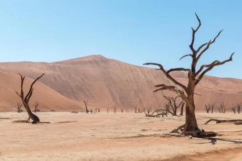 Das Deadvlei