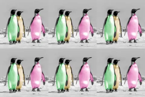 Warhol-Pinguine als non-fungible token (NFT)