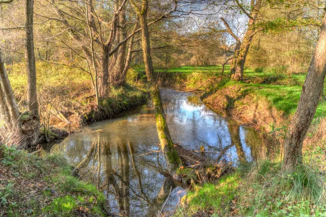 Der Hanfbach bei Röttgen