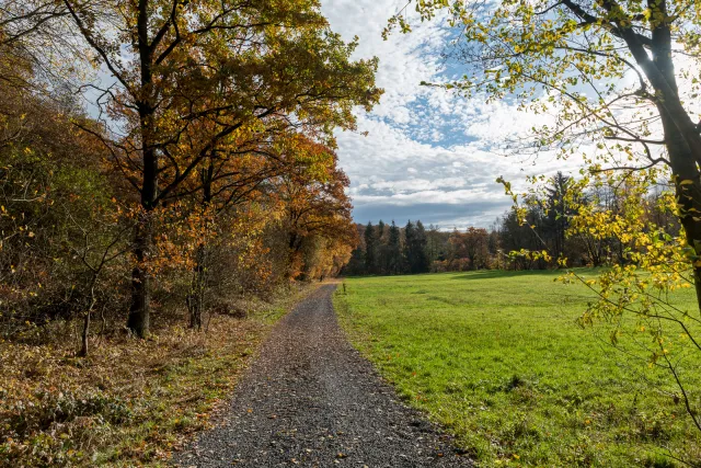 Im Hanfbachtal bei Wiederschall