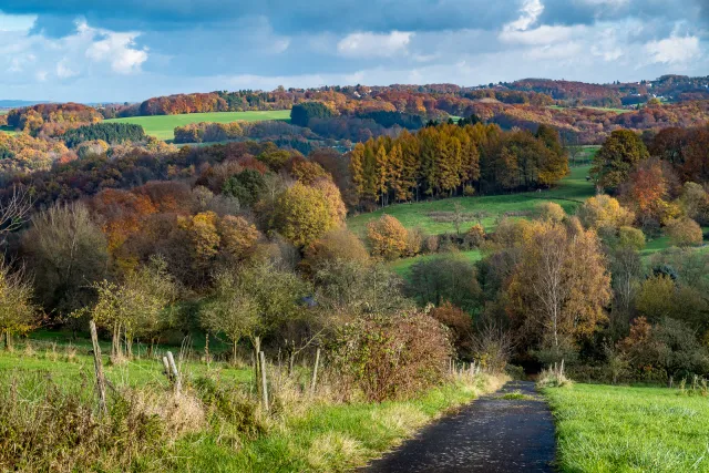 The Hanfbachtal from Kurscheid