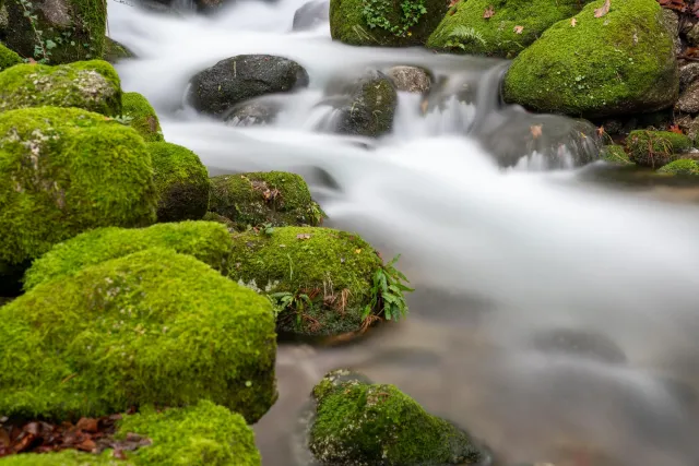 Zufluss zum Rio Nava - 20 Sek bei f/7,1 und Brennweite 50mm