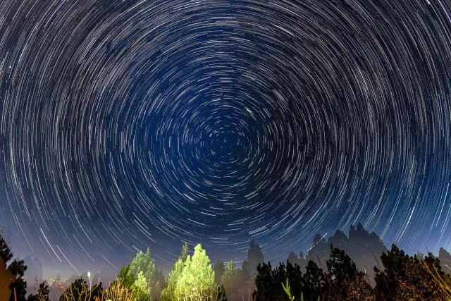 Startrails over trees