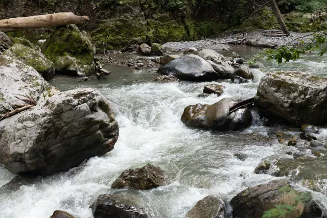 In der Breitachklamm 1/250 s bei f / 5,6