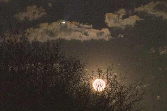 Der "Rosa" Supermond mit Flugzeug