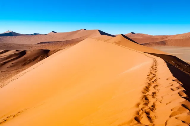 Die Dünenlandschaft rund um Düne 45 in der Namib