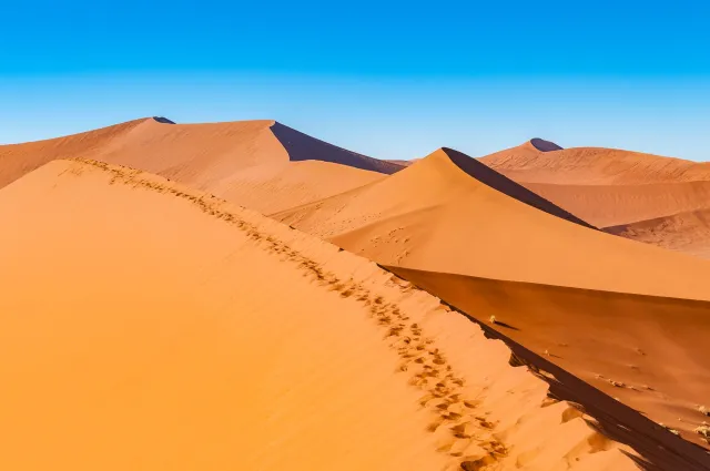 Die Dünenlandschaft rund um Düne 45 in der Namib