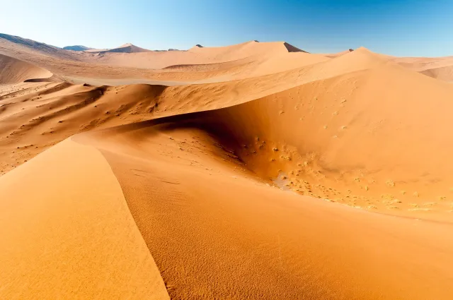 Die Dünenlandschaft rund um Düne 45 in der Namib