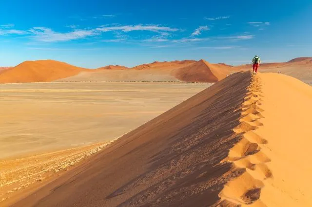 Die Dünenlandschaft rund um Düne 45 in der Namib