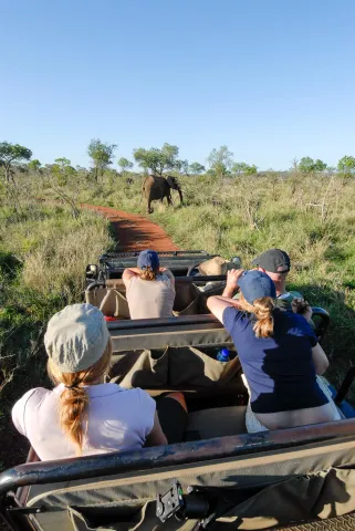 On safari with the Land Rover