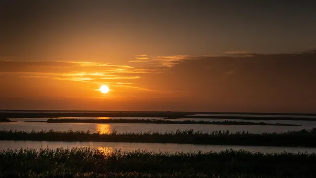 Sonnenuntergang über dem Beltringharder Koog