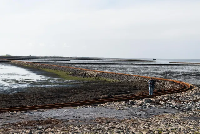  Der Lorendamm zur Hallig Nordstrandischmoor