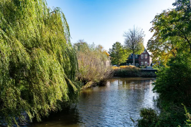 The canals of Friedrichstadt