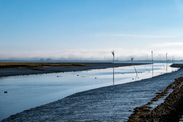 Die Fahrtrinne des Süderhafens von Nordstrand bei Ebbe