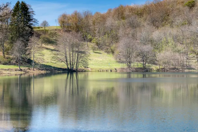 The Weinfelder Maar