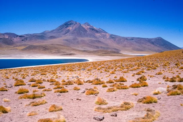 Salar de Atacama