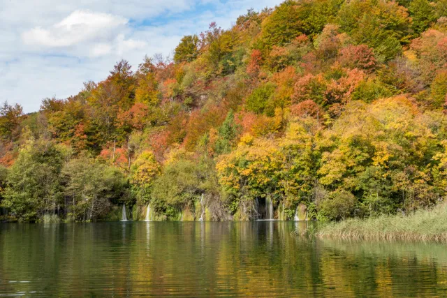 The Plitvice Lakes