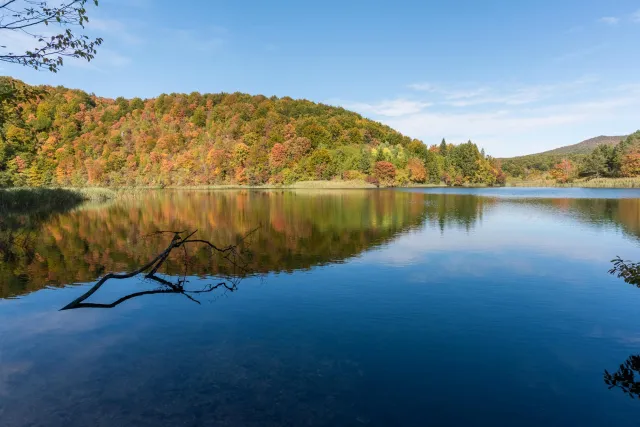 The Plitvice Lakes