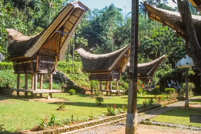 Tongkonan, die beeindruckenden Häuser der Toraja