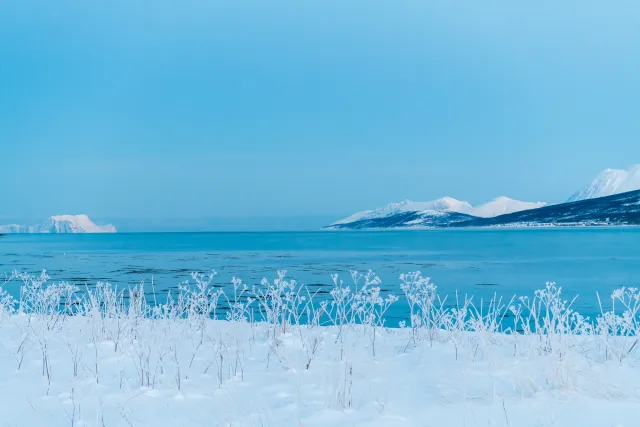 Am Hafen von Fjord Solenagen