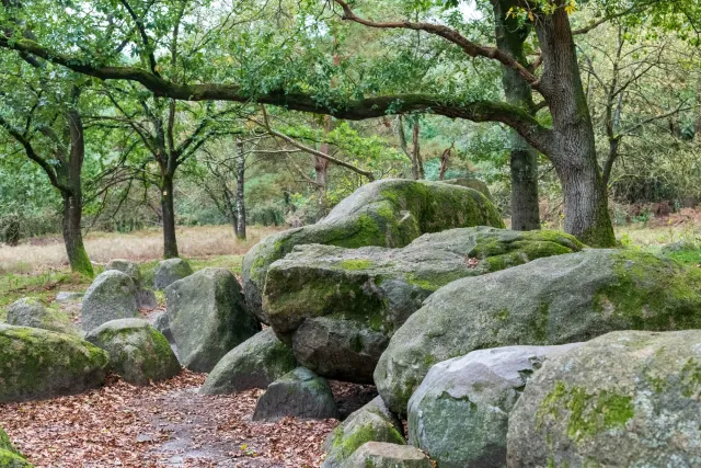 The royal tomb of Groß Berßen, also known as Groß-Berßen VIII, is a Neolithic passage grave with the Sprockhoff no. 860