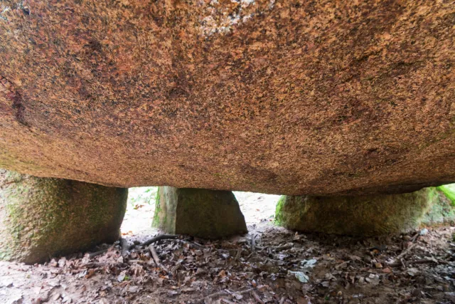 The megalithic tomb in the Kunkenvenne, also known as the Thuine megalithic tomb, Sprockhoff no. 874