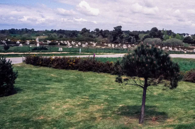 Stone rows of Carnac