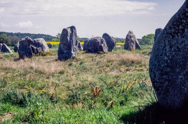 Stone rows of Carnac