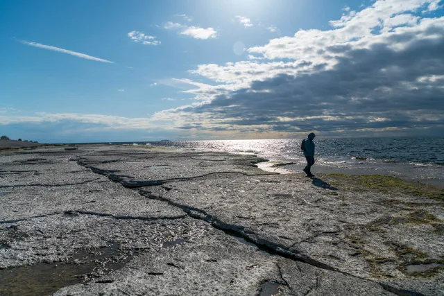 Die Klappersteinküste im Norden Ölands