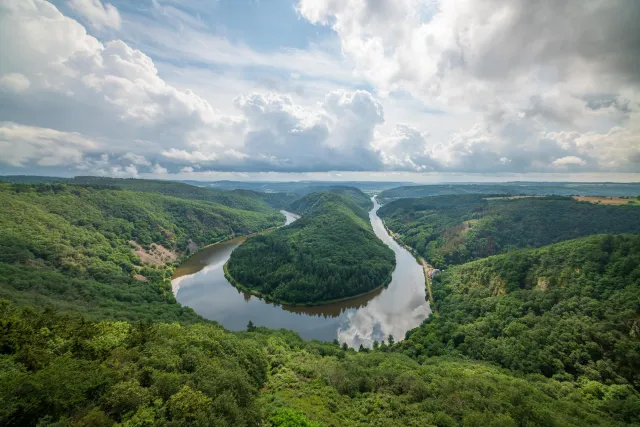 Die Saarschleife vom Aussichtsturm des Baumwipfelpfades aus fotografiert.