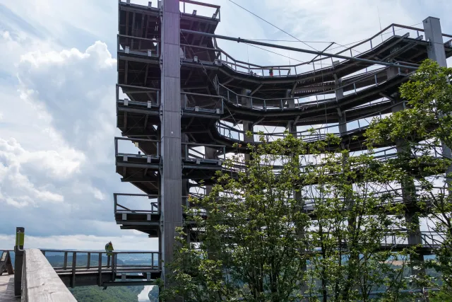 The observation tower on the treetop path