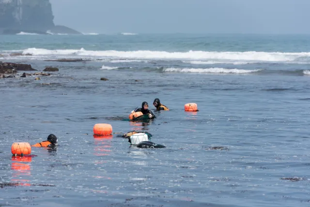 The sea women (Haenyo) from the South Korean island of Jeju.