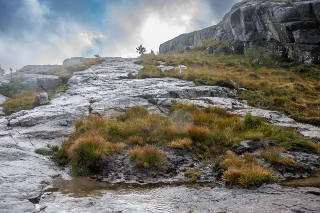 Der letzte Kilometer zum Preikestolen