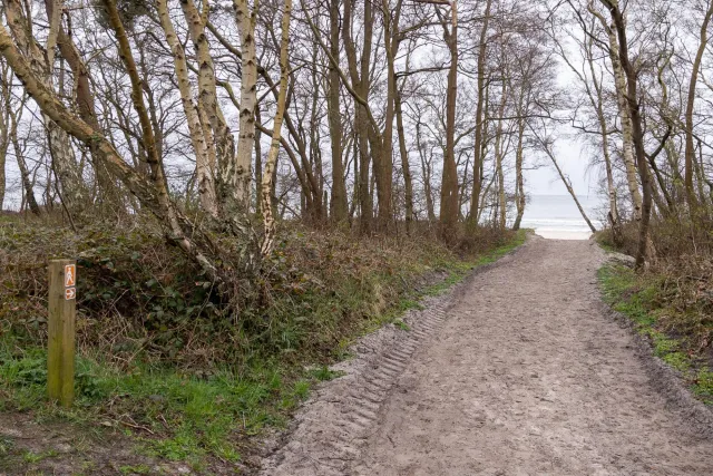 Trail von Bakkerne Havn nach Snogebæk