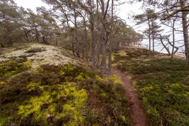 Trail von Bakkerne Havn nach Snogebæk